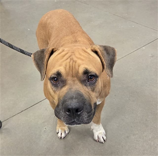 Matilda, photographed at the West shelter