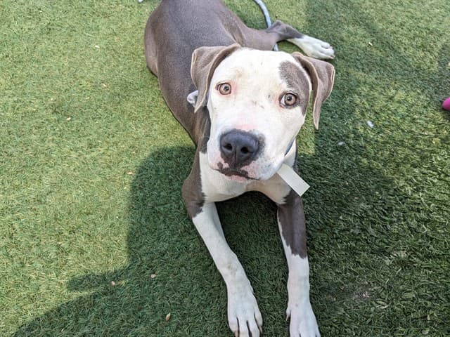 Harmony, photographed at the West shelter