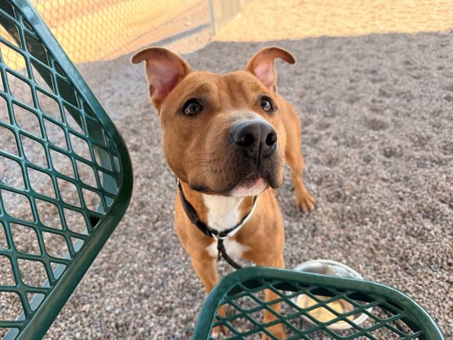 Cameron San Diego, photographed at the East shelter